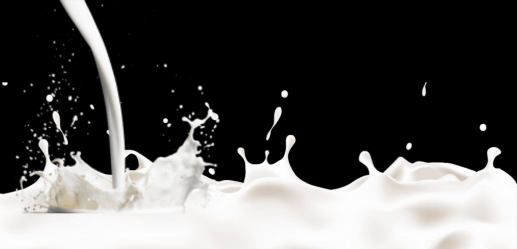 milk-image