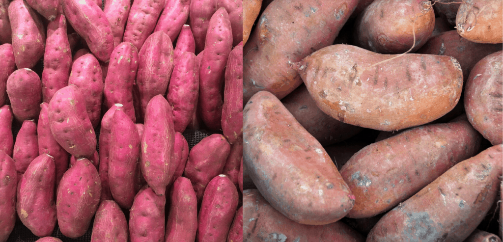 sweet-potato-image