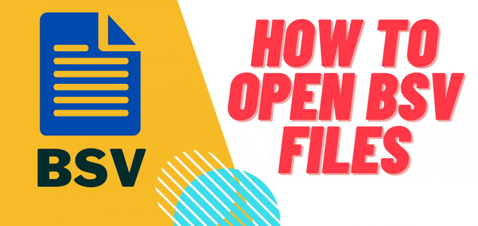 how to open bsv files