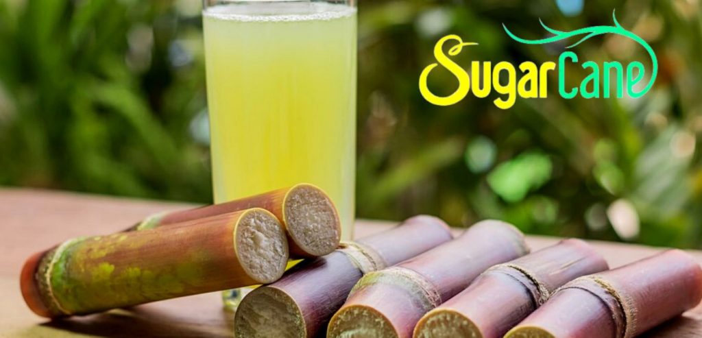 cane sugar nutrition facts