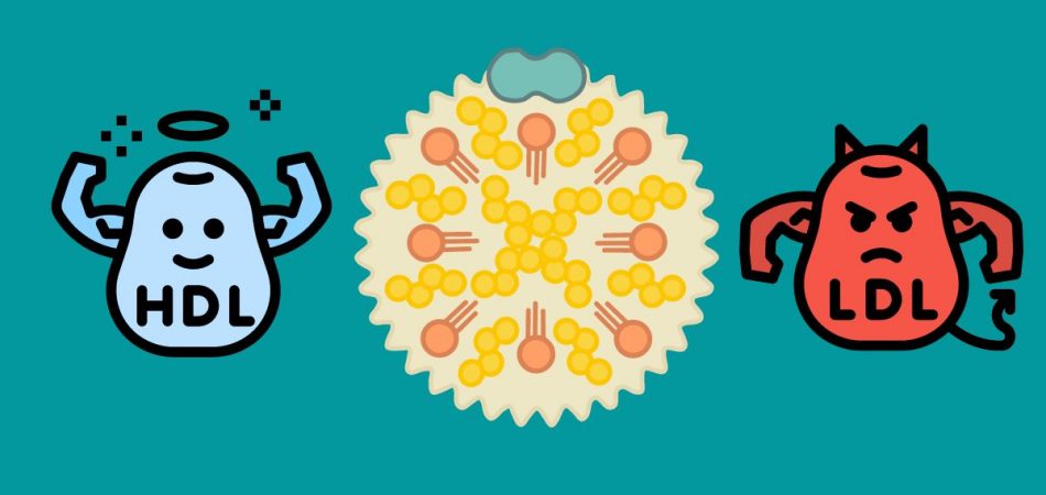What Is The Best Way To Lower Your Cholesterol Without Taking Any Medication?