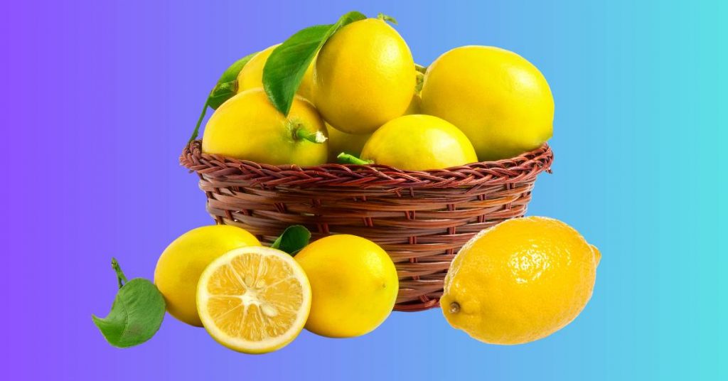 Where Can I Buy Sorrento Lemons