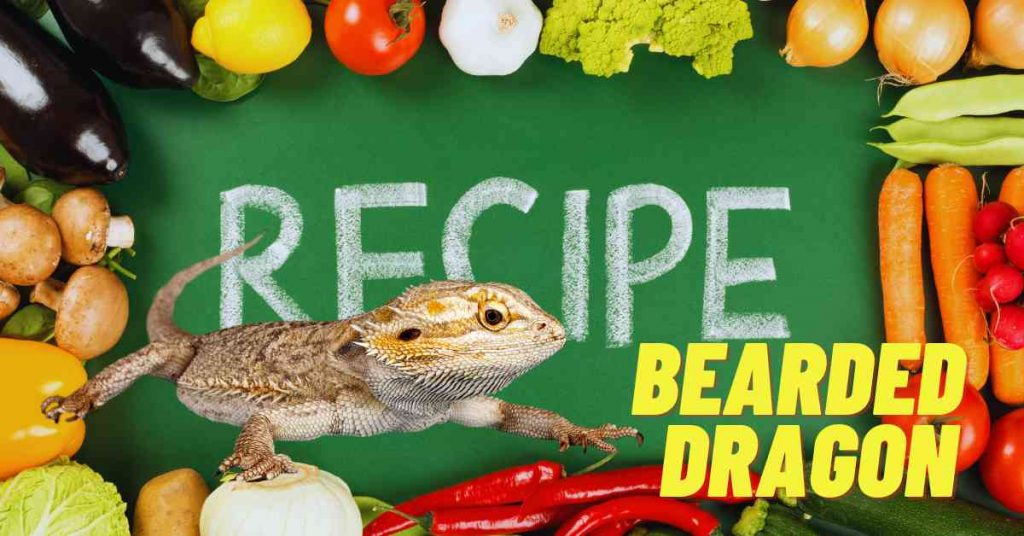 Healthy Recipe and Diet Plan For Bearded Dragon