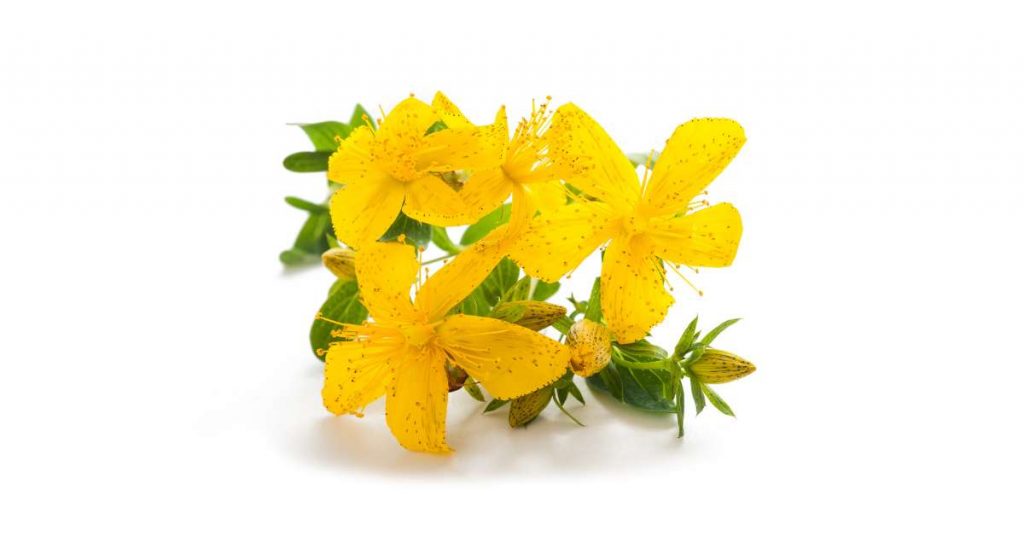 St. John's Wort