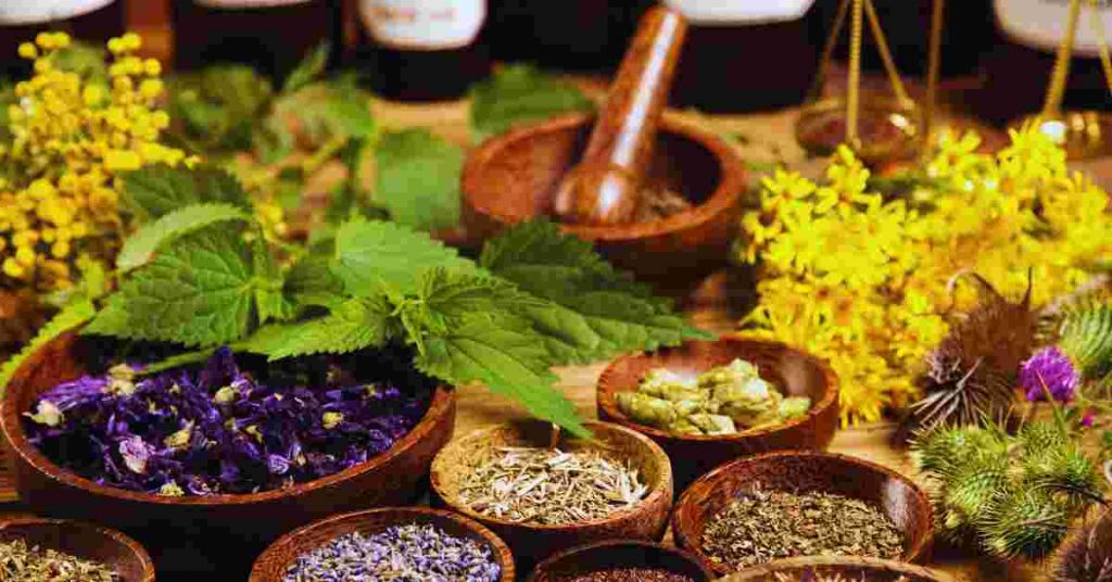 Top 10 Herbs for Health and Wellness
