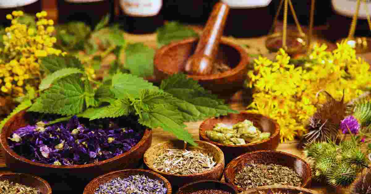 Top 10 Herbs for Health and WellnessHealing Power of Nature TipsFu