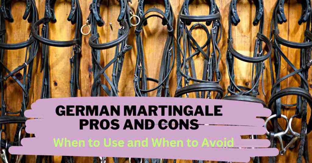 German Martingale Pros and Cons