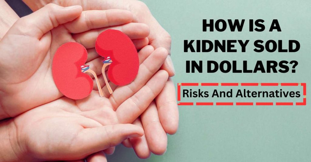 How Is A Kidney Sold In Dollars?