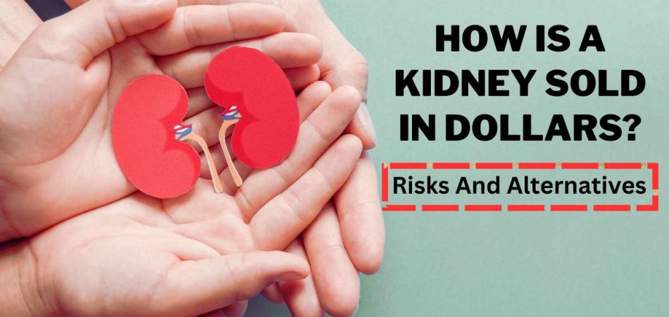 How Is A Kidney Sold In Dollars?