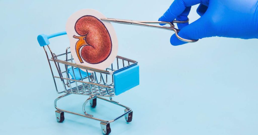 The Price of a Kidney on the Black Market