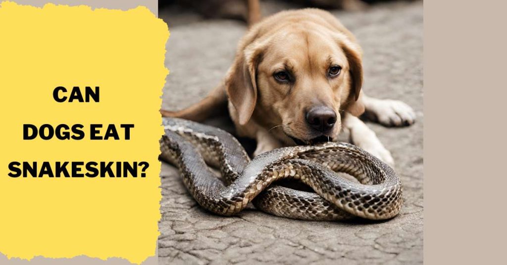 Can Dogs Eat Snakeskin?