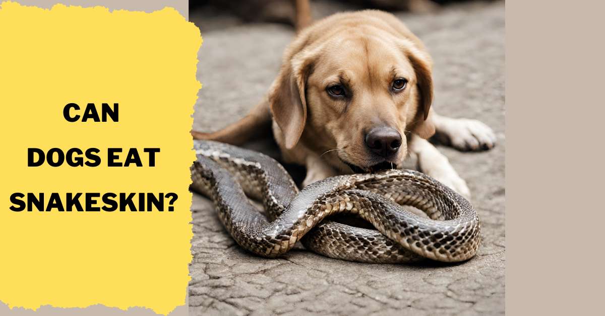Can Dogs Eat Snakeskin?
