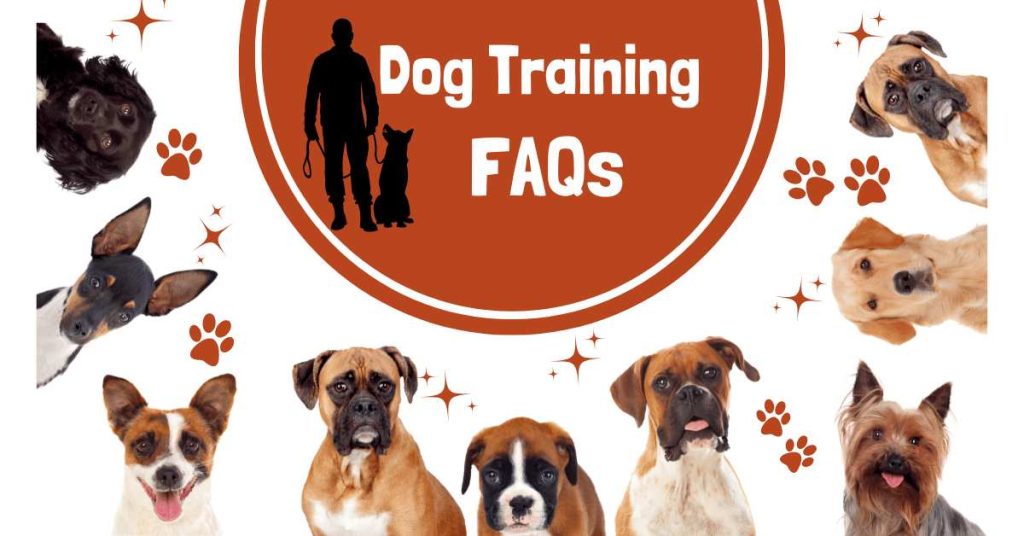 dog training faqs